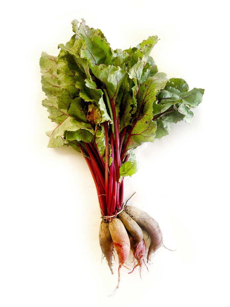 Cylindrica Beetroot - The Falls Farm