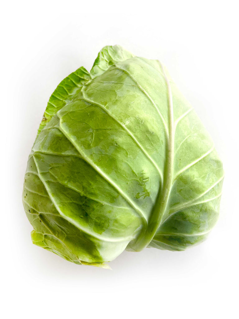 Sugarloaf Cabbage - The Falls Farm