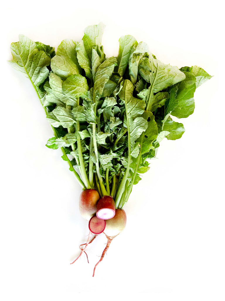 Watermelon Radish - The Falls Farm